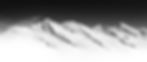 Website_picture_2.jpg