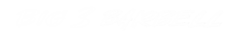 B3 Sleeve.pdf (4).png