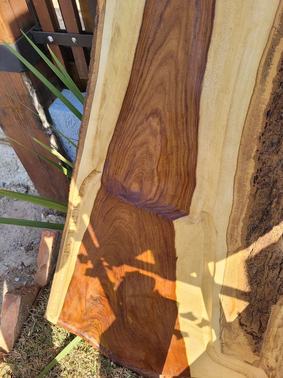 Miniatura: Tábua para Costelão