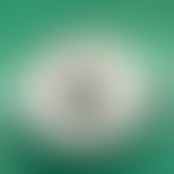 土佐市　クロノスイス オーバーホール