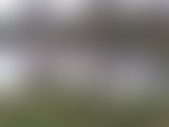 The One With The Flood