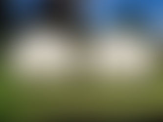 Septic tanks on a lawn