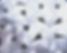 Copy of 20240317_000139_edited_edited.jpg