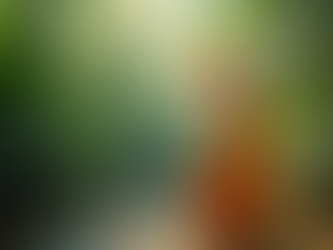 防晒评测揭秘：是否真的贵的就是好的