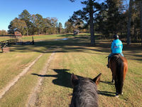 Horse Trails