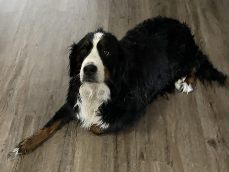 Welcome Carly to the BFWR Family