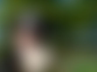 About the Bernese Mountain Dog