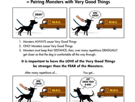 Barking or Scared Dog??