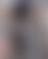 This Handsome Boy is looking for a forever home