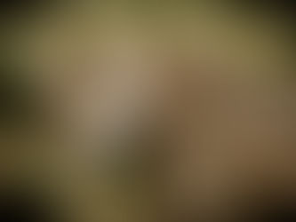 Dioses Mayas Chac Bolay