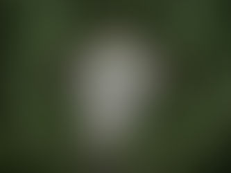 El asentamiento Maya más grande Quintana Roo