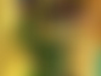 Los Mayas Y La Importancia De Los Equinoccios