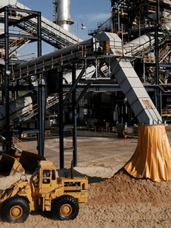 Setor de biomassa alerta para riscos operacionais e perdas financeiras com cortes de geração no Brasil