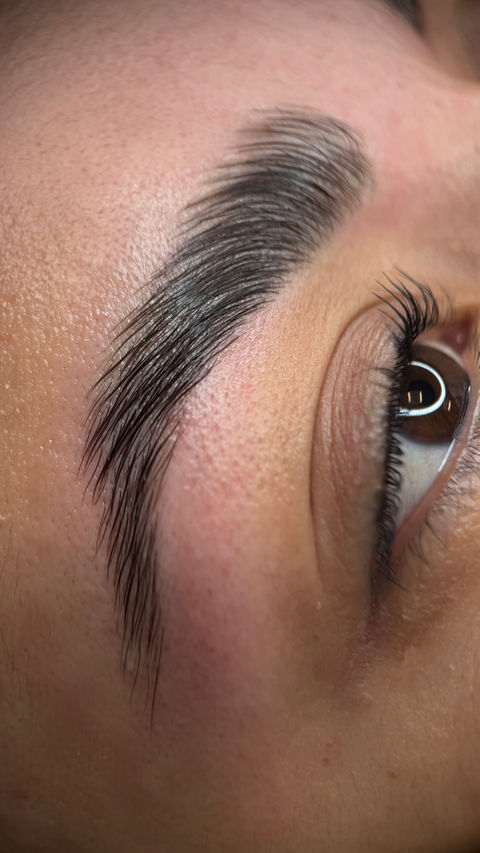 Shiny, styled eyebrow after lamination at Divka Beauty Lounge San Diego.