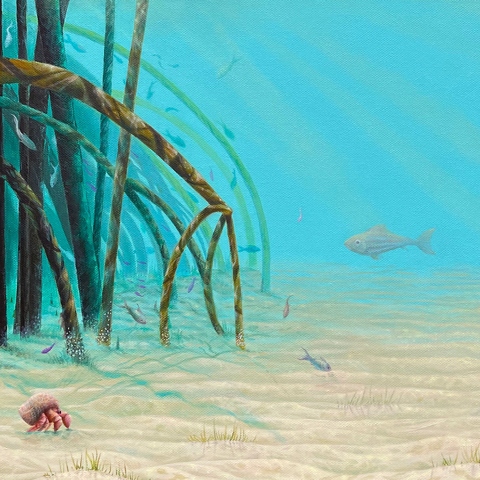 Thumbnail: Underwater Mangrove Habitat