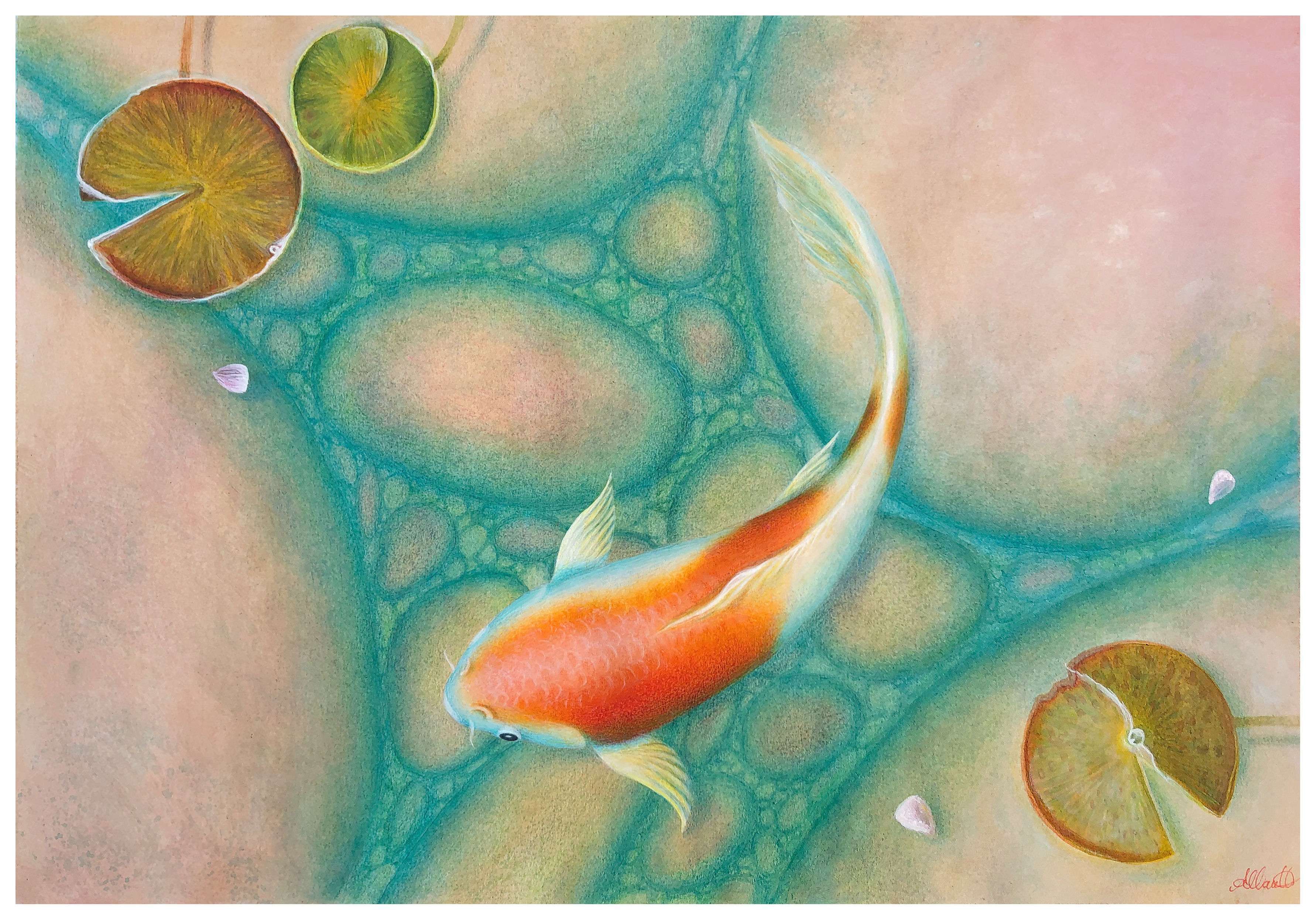 Calm with the Koi II