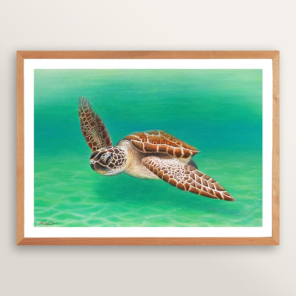 Thumbnail: Prints - Swim with a Sea Turtle