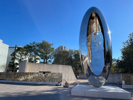 Texas Sun Makes Winter More Fun: Houston Weekend