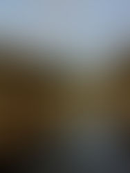 Amsterdam Adventures