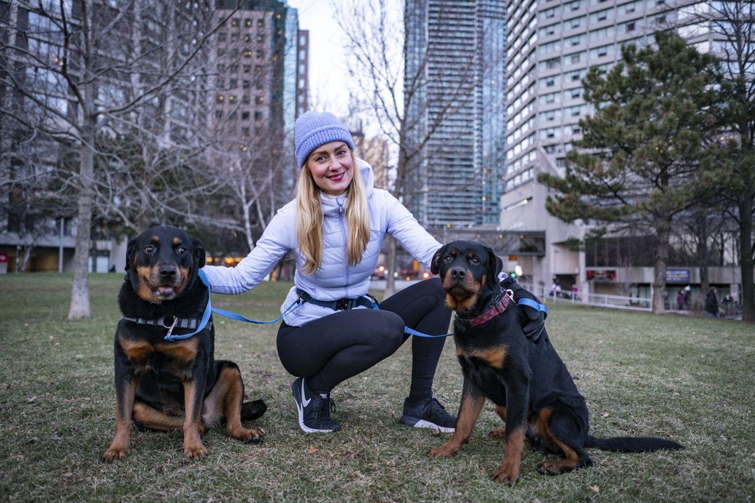 Downtown dog walker discount