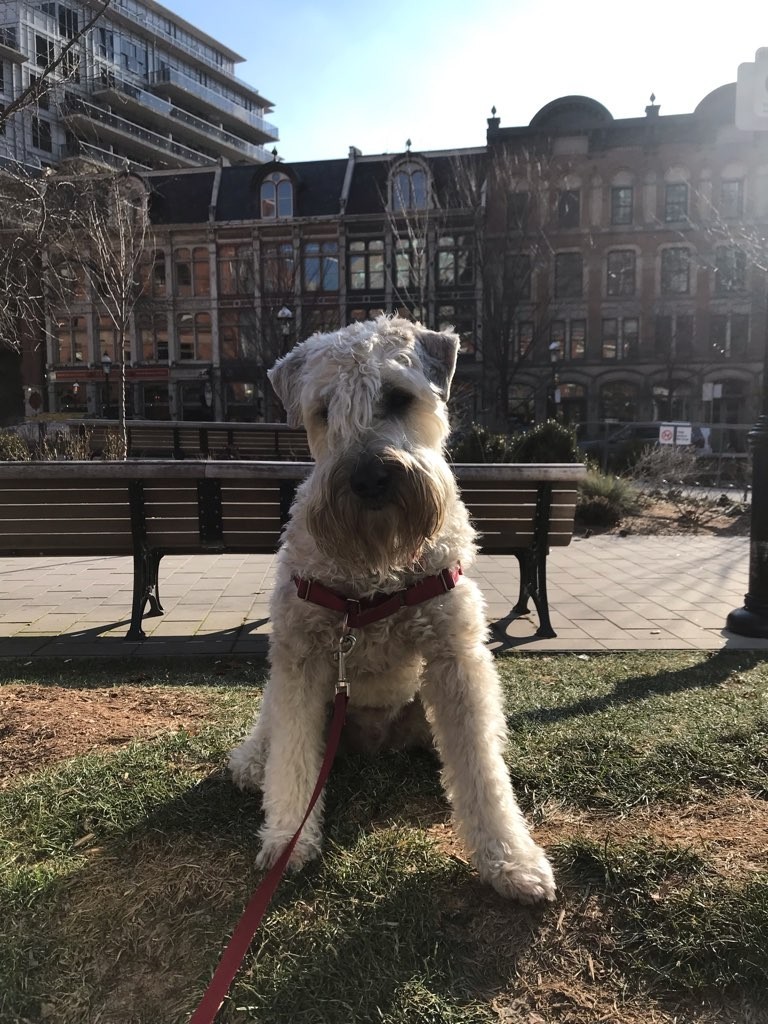 Jasper "The Wise"