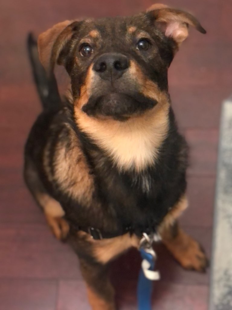 Alfred “The Heartbreaker”