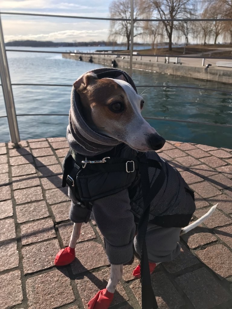 Ryder "The Dapper Dude"