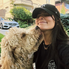 Solo dog walk in Toronto with professional dog walker