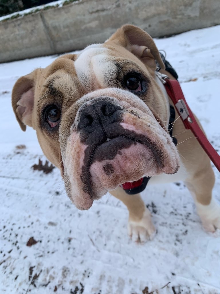 Winston "The Determined"