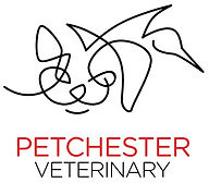 Petchester Hospital Floor Plans