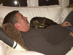 Jeter and Mark Enjoying a Cat Nap