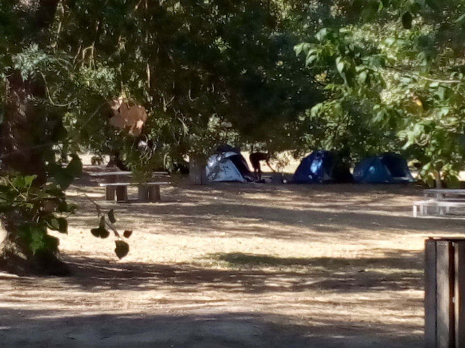 camp2
