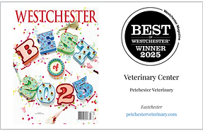 Best of Westchester 2025.png