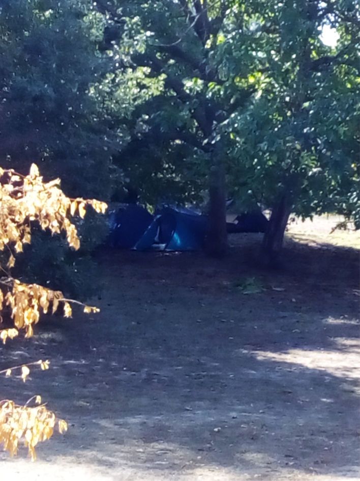 camp1