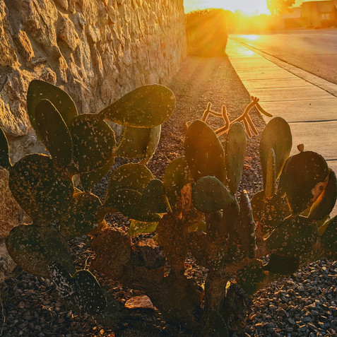 PXL_20211105_235622103_2-01.jpeg