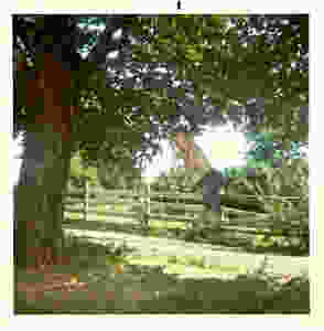 1970 the author swinging from a rope swing