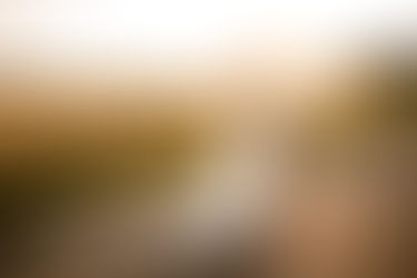 Sonnenuntergangs-Fotoshooting bei Eurer Hochzeit