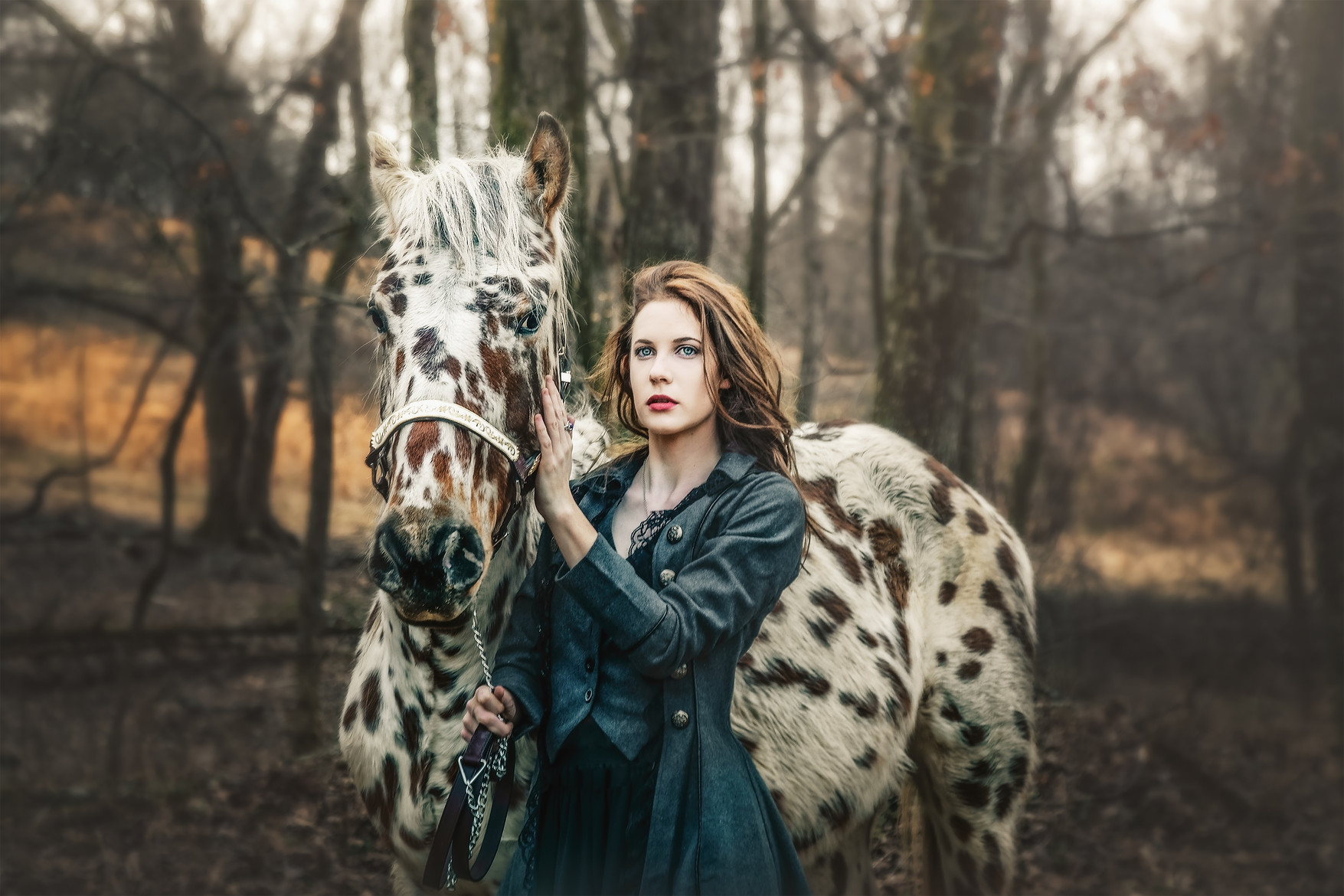 Equine portrait photography | Franklin,Tennessee|Kisa Kavass designs