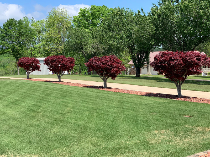 Recent Work Green Care Lawn Maintenance