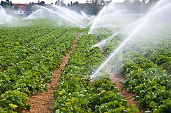 riego agricultura.jpg