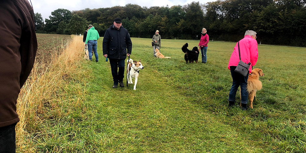 Hunderunde
