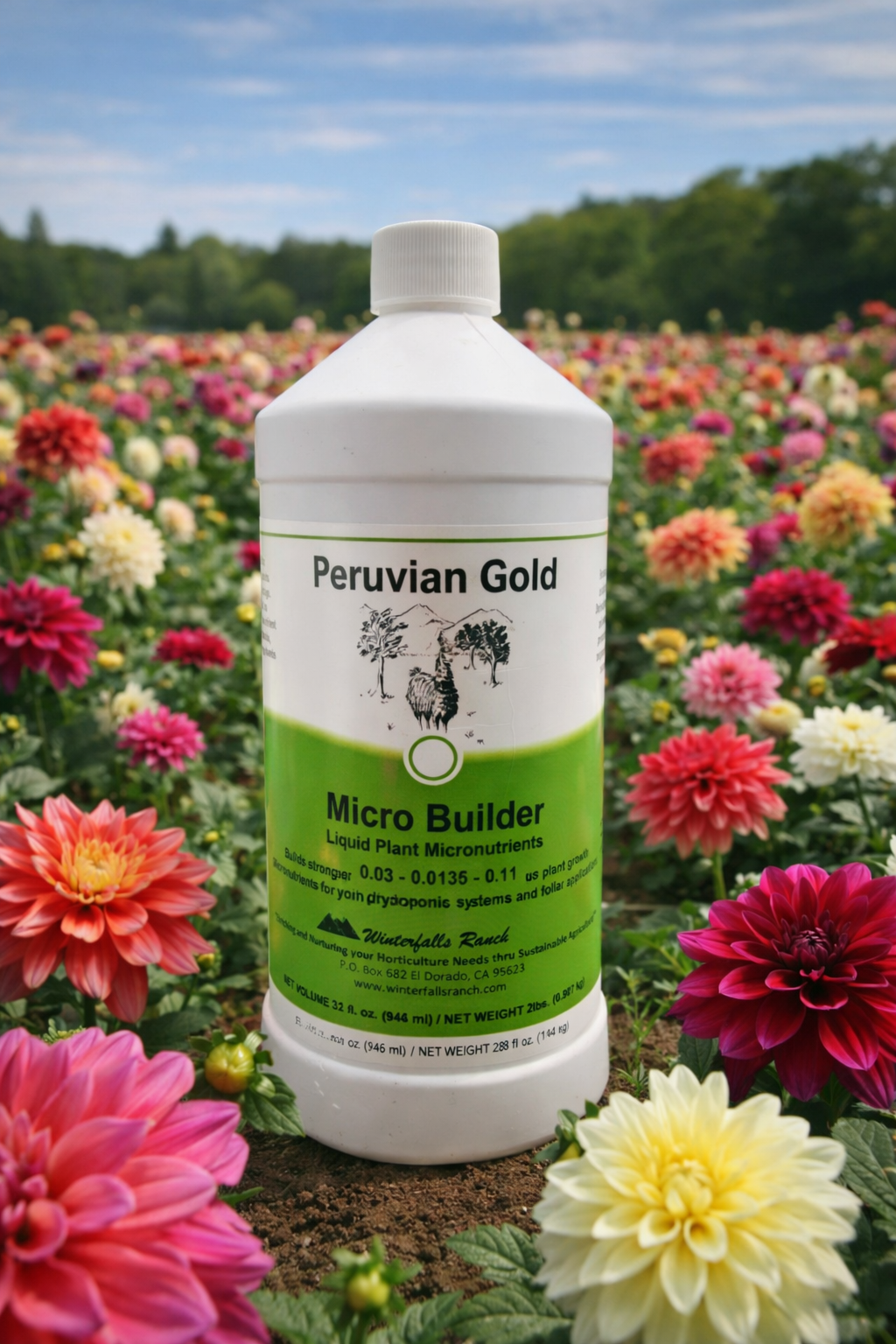 Peruvian Gold Micro Builder