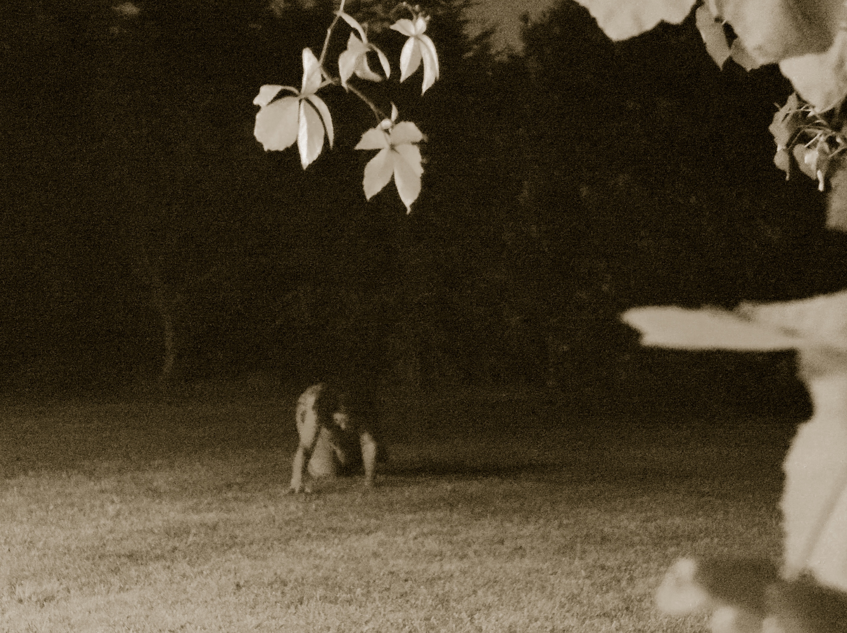 Screenshot 2024-09-24 at 12.04.21 PM.png