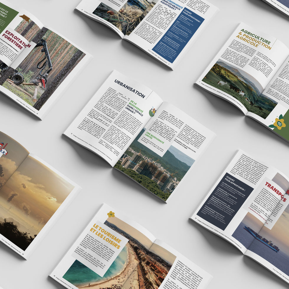 Mockup-BROCHURE-HACK