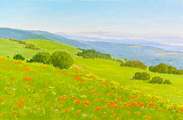 Poppy-covered California spring hills