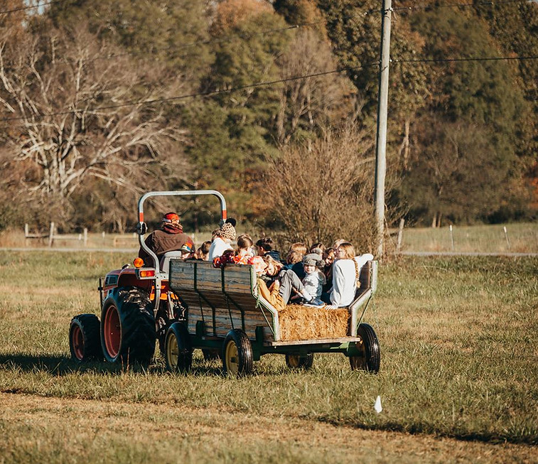 Family-friendly hay ride experience at Mountain Mama Farms Trail Race