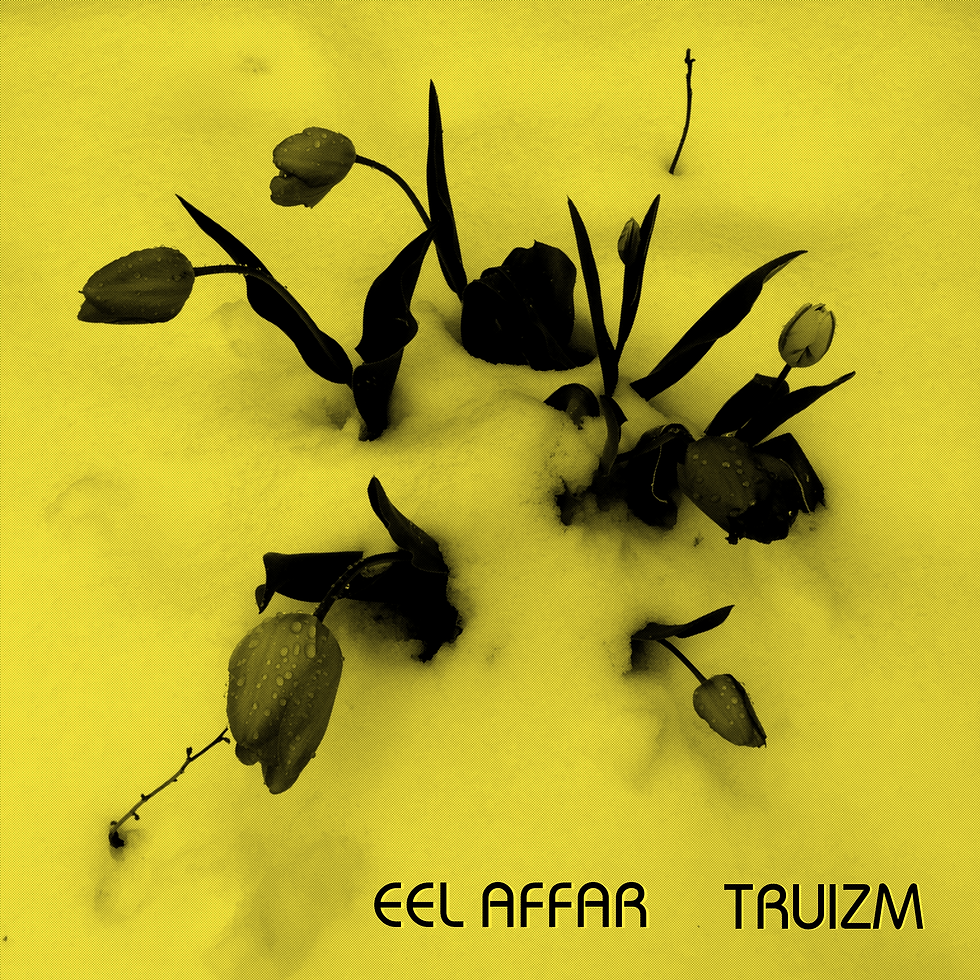Truizm Cassette by eel affar