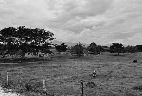 Paisajes de playa