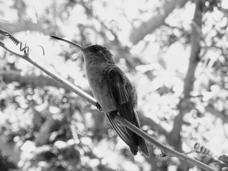 Cuando cierran los lugares que nos representan