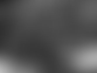 El animal que llora: entre carne y emoción